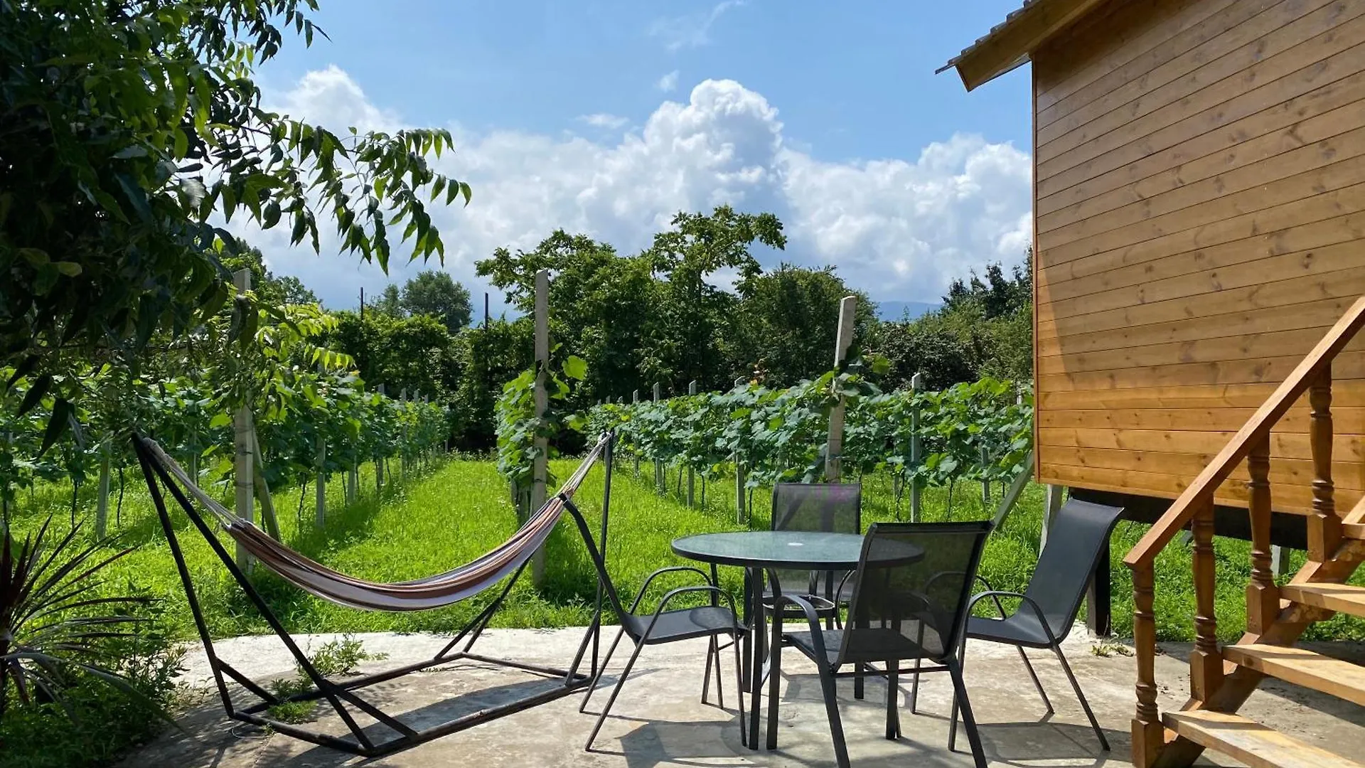 Orion Cottage Batumi