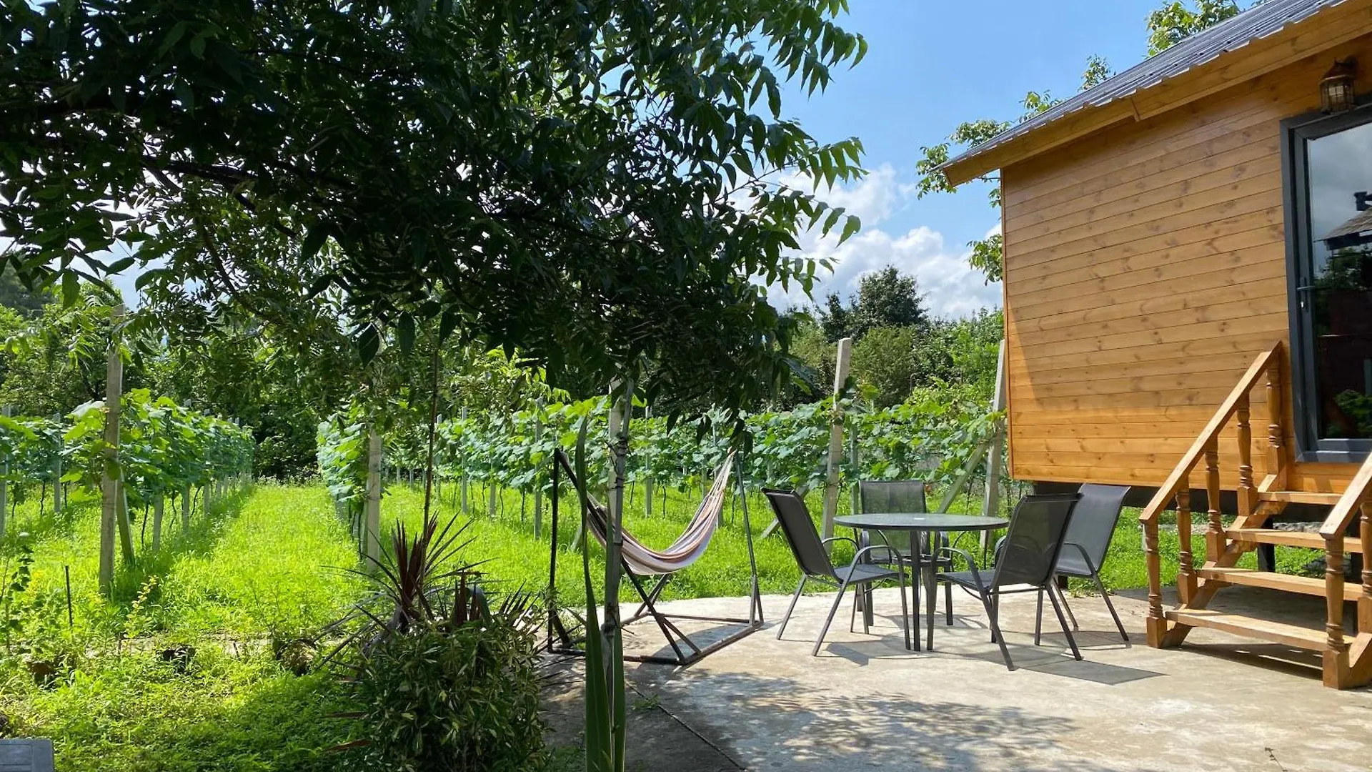 Orion Cottage Batumi Georgia